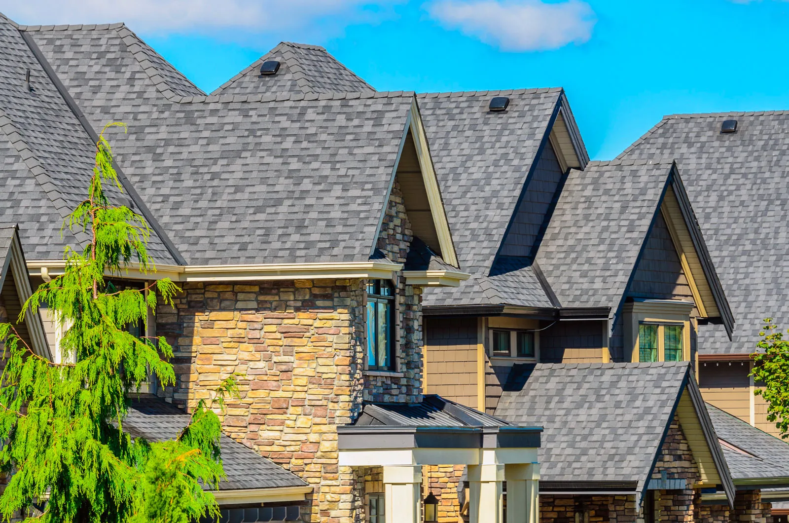 Bardeaux d’asphalte